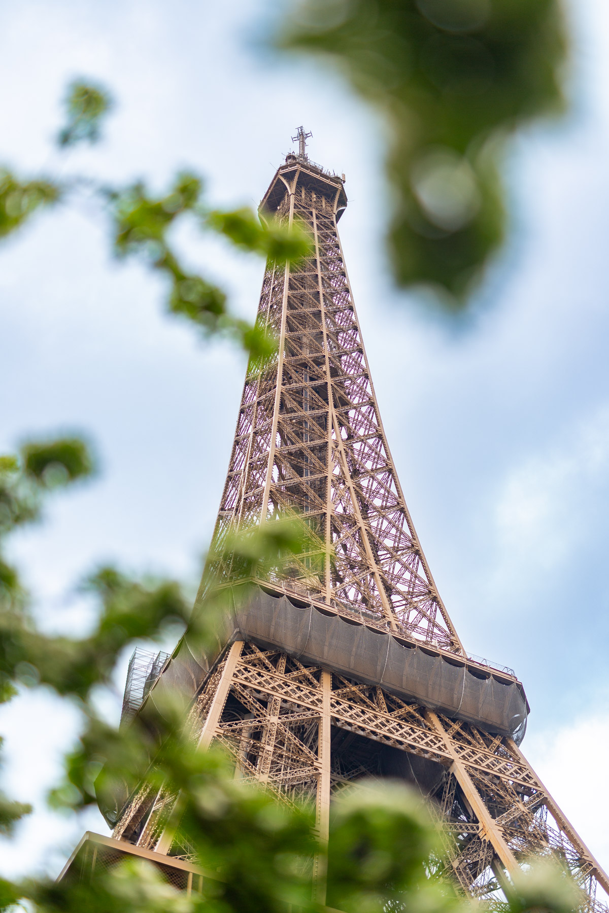 Eiffel Tower through greenery, 50 Facts