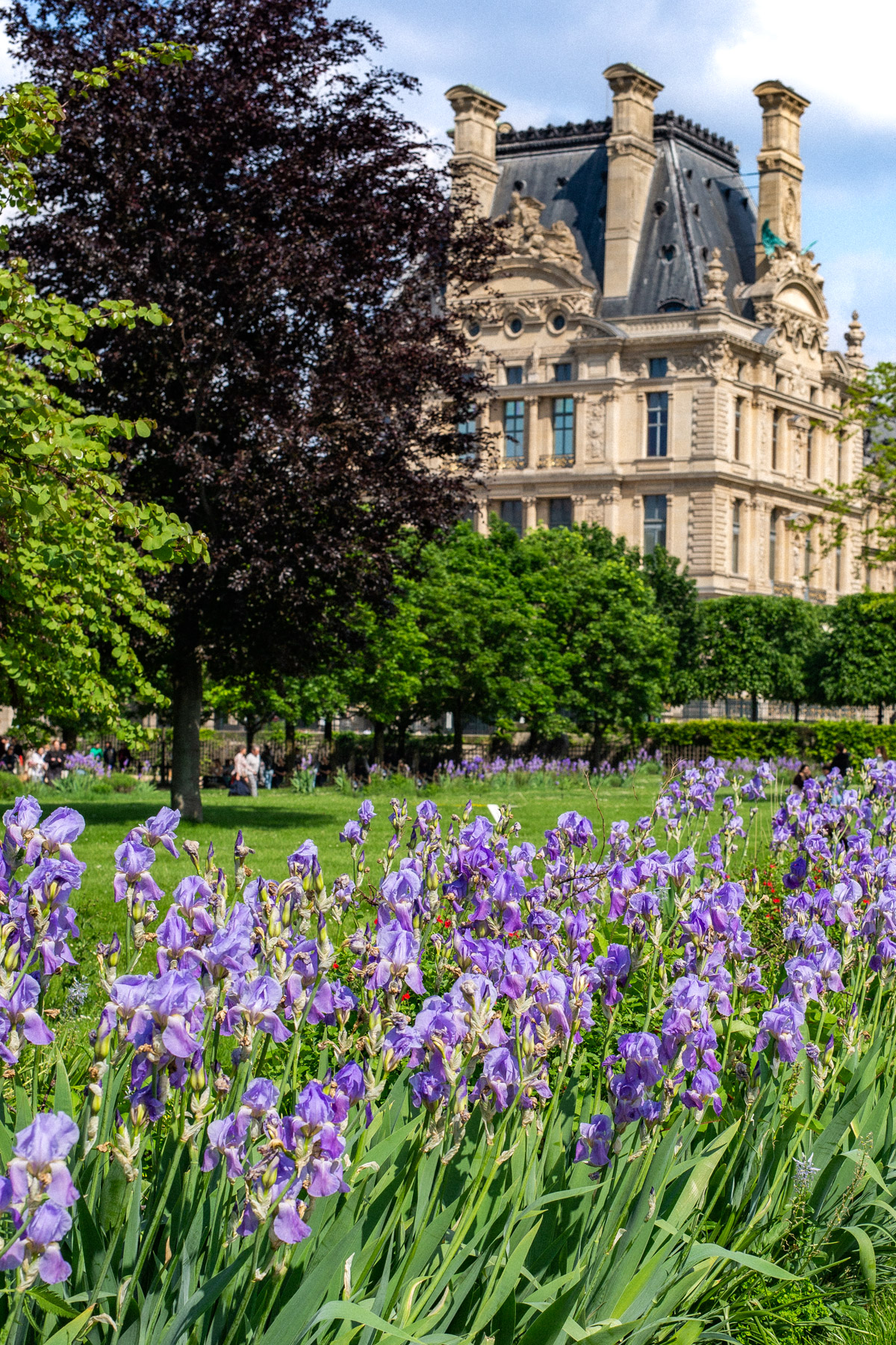 Tuileries Garden
Things to do Paris Spring