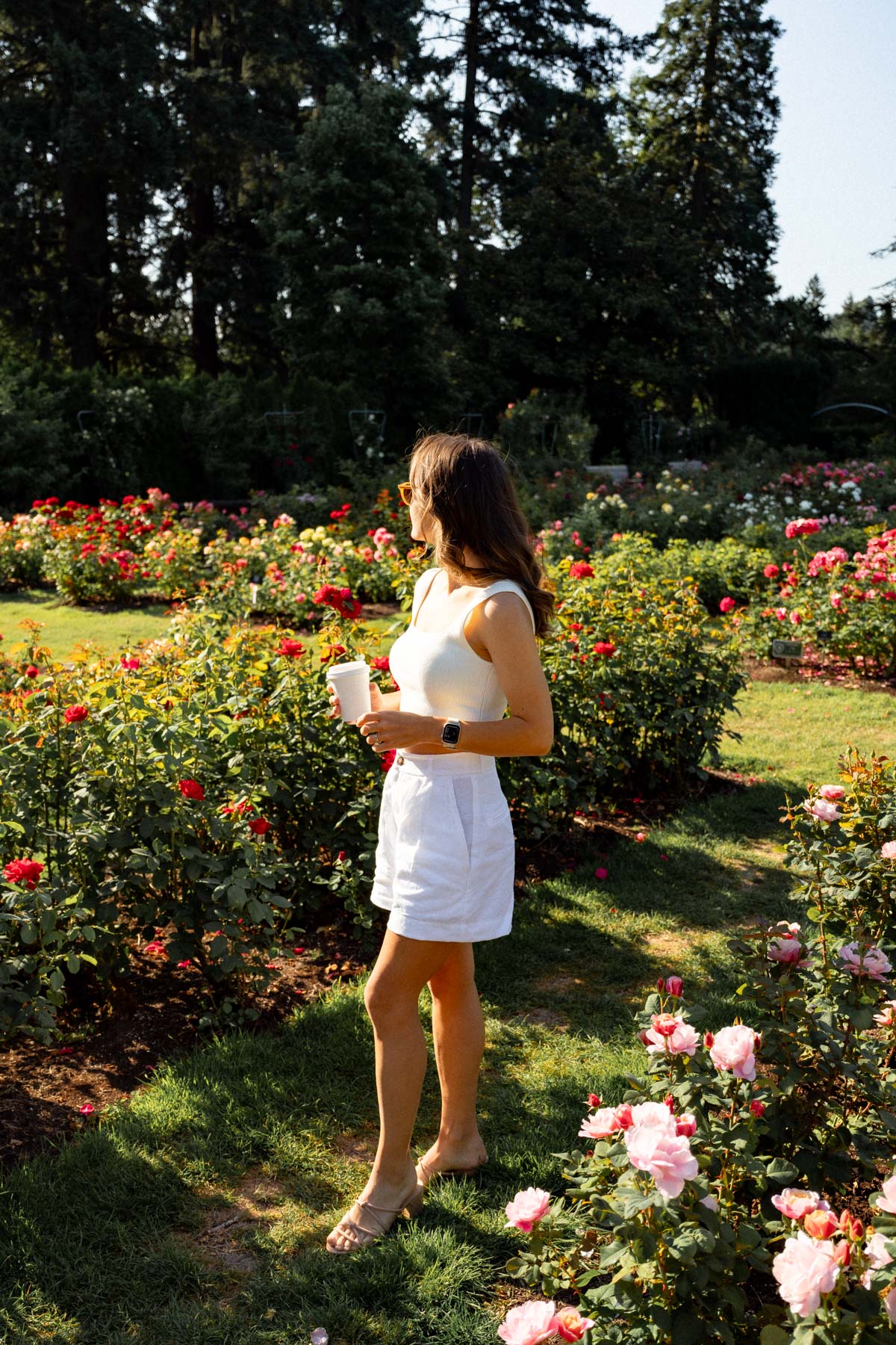 Visiting the Portland Rose Garden