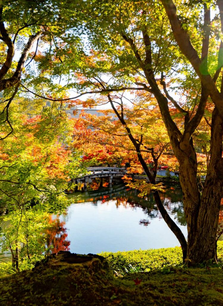 Japan in November