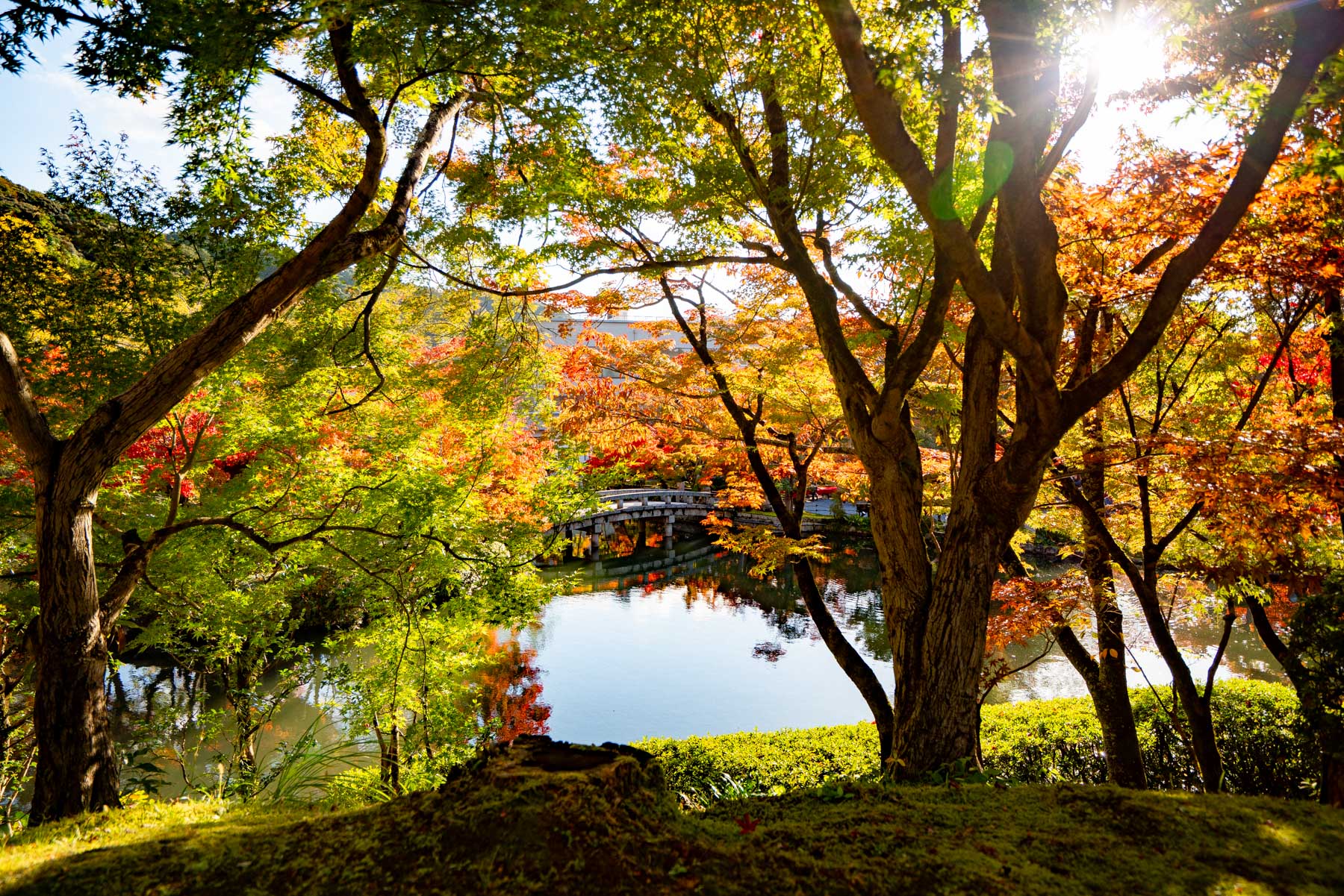 Kyoto fall color at Eikandō (Zenrinji) Temple 