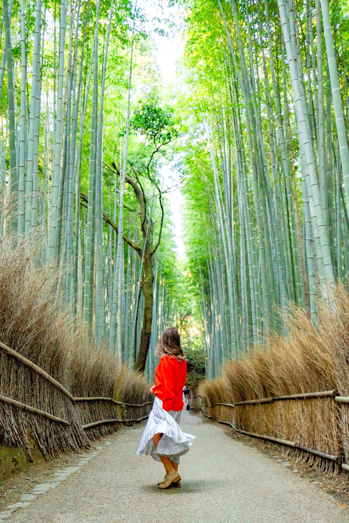 Arashiyama Bamboo Forest Kyoto
Visiting Kyoto for the first time