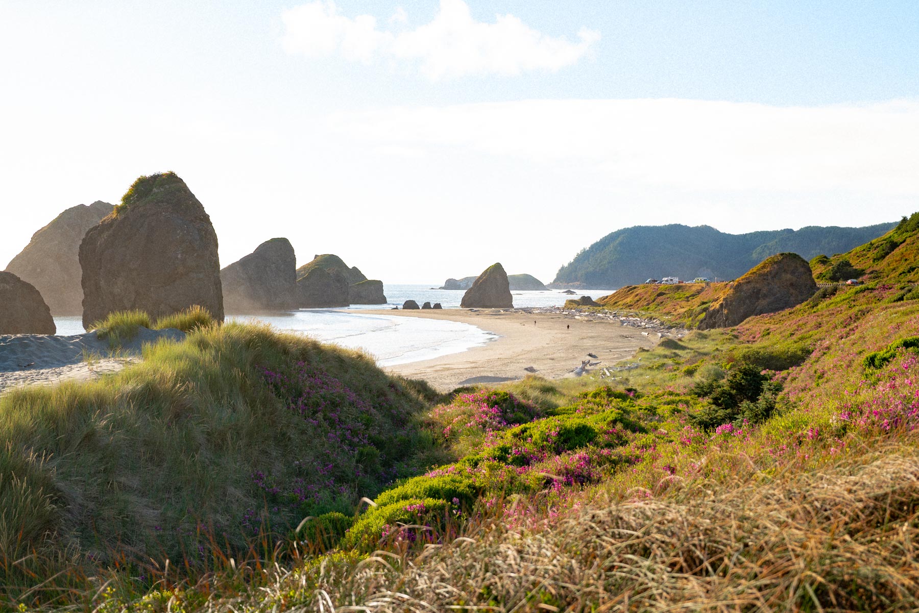 Best things to do at the Oregon Coast