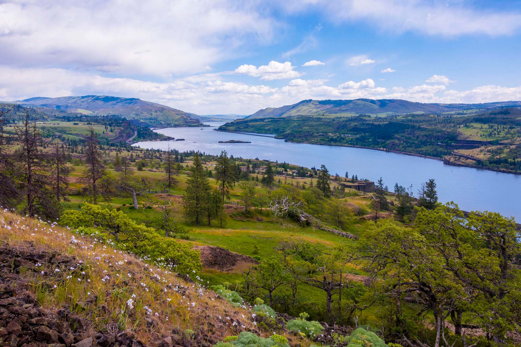 Catherine Creek Trail Washington 