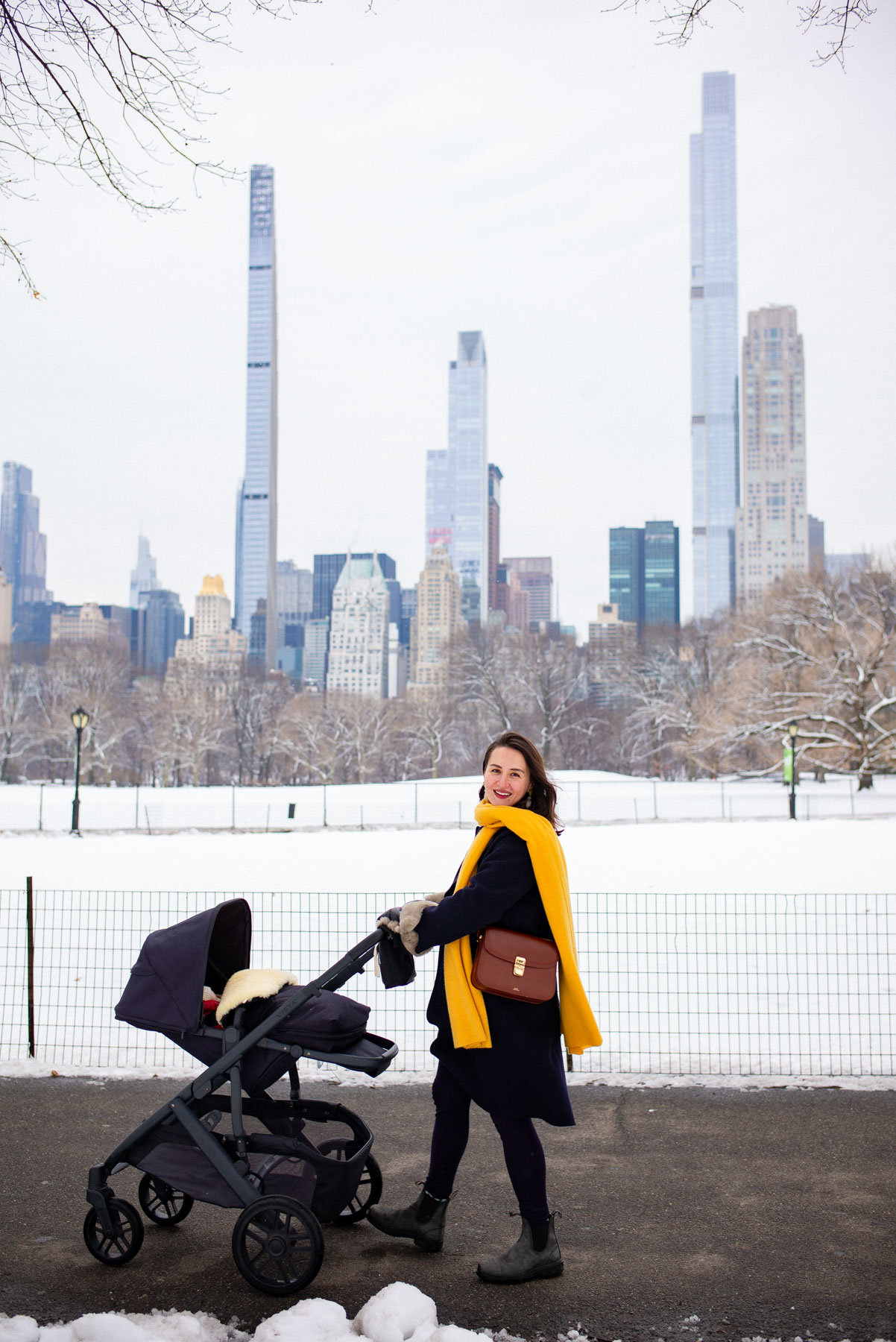 Central Park in the snow